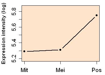 plot image