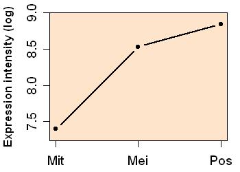 plot image