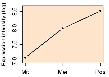 plot image