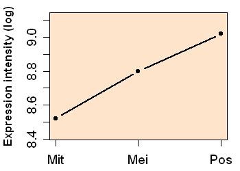 plot image