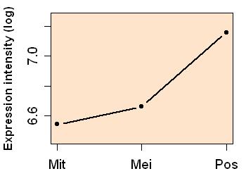 plot image