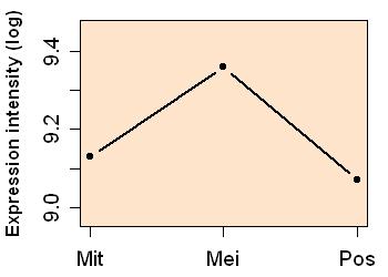 plot image