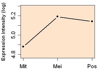 plot image