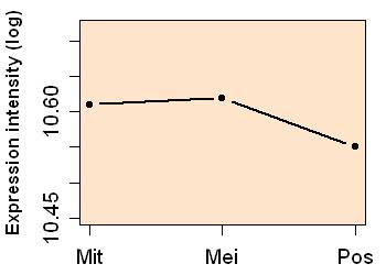 plot image