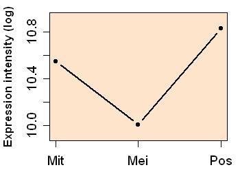 plot image