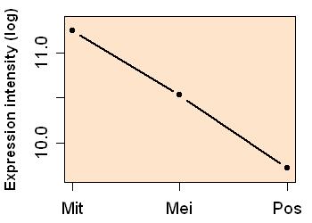 plot image