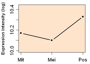 plot image