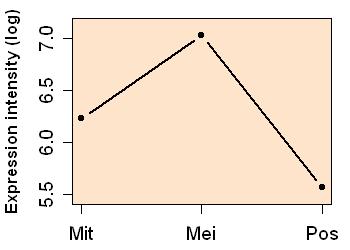 plot image