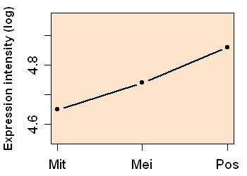 plot image