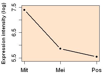 plot image