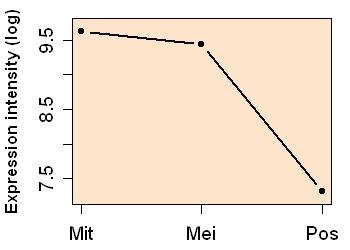 plot image