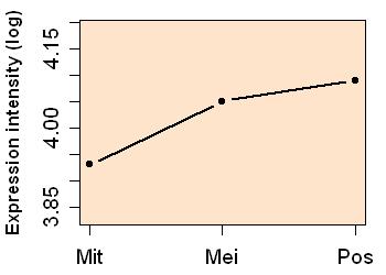 plot image