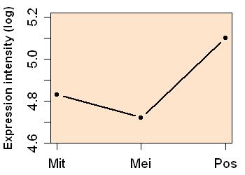 plot image