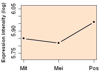 plot image