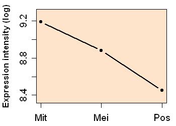 plot image