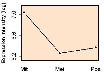 plot image