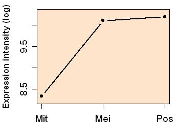 plot image