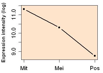 plot image