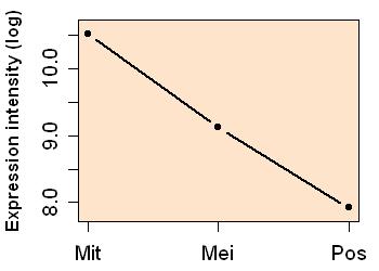 plot image