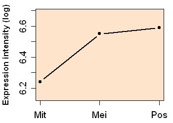 plot image