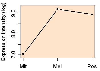 plot image