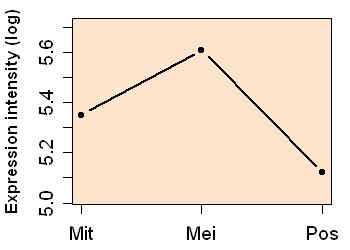 plot image