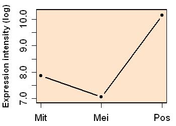 plot image