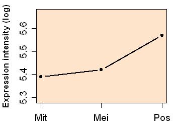 plot image