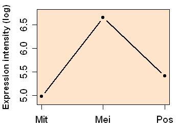 plot image