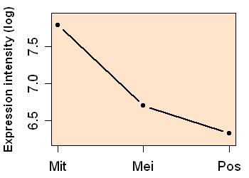 plot image