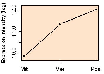 plot image