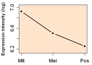 plot image