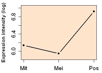 plot image