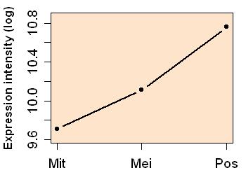 plot image