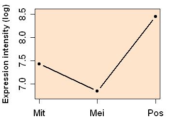 plot image