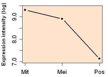 plot image