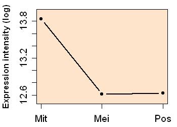 plot image