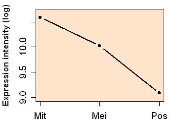 plot image