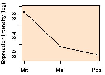 plot image