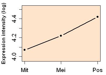 plot image