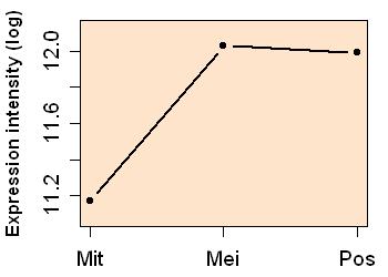 plot image