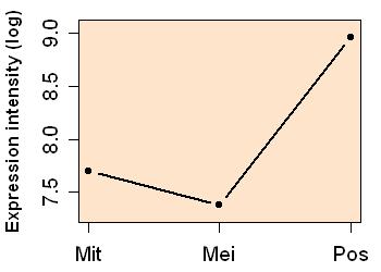 plot image