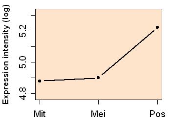 plot image