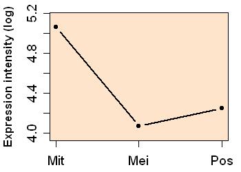 plot image