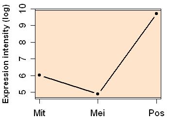 plot image