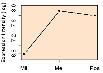 plot image