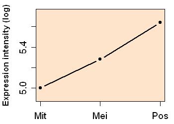 plot image