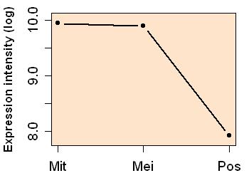 plot image