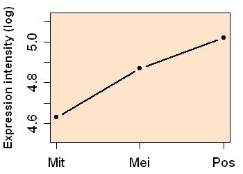 plot image