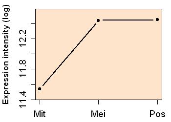 plot image